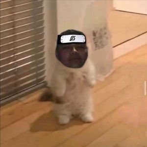 Meet your Posher, Gael